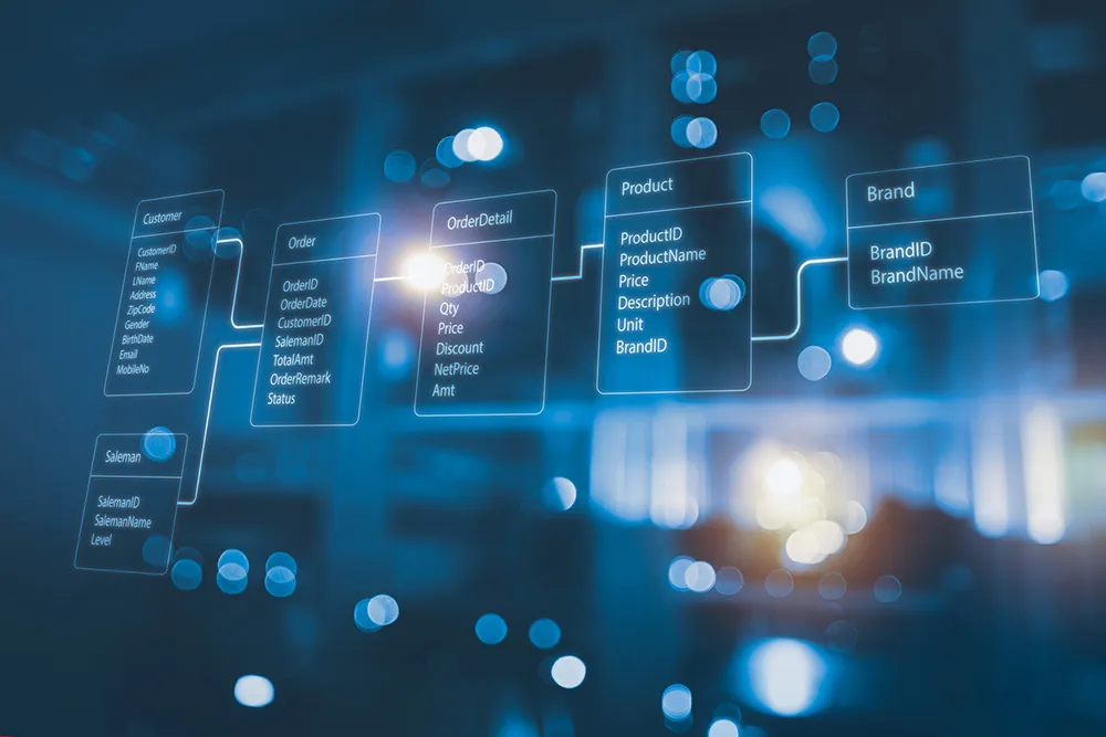Want to deploy the digital advantage in your business?